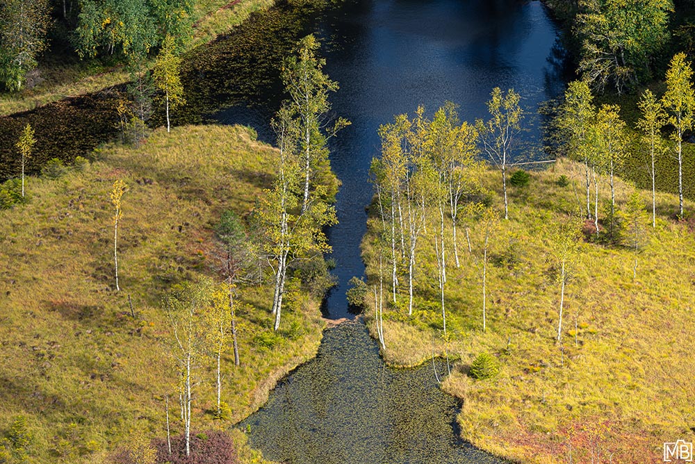 Seen und Gewässer Herbst Ellbachsee Schwarzwald Deutschland