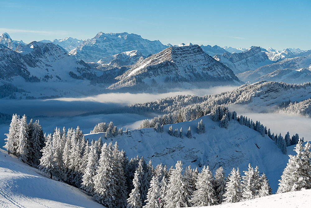Winter Winterlandschaft Kronberg Alpstein Appenzellerland Schweiz Schneelandschaft