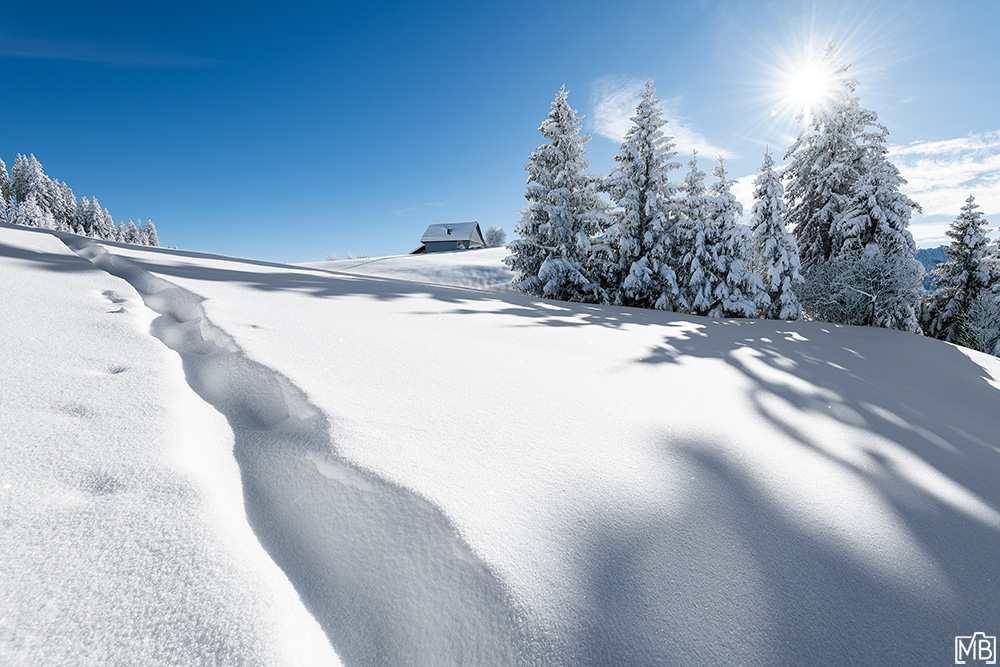 Winter Winterlandschaft Ostschweiz Hoher Kasten Alpstein Appenzellerland Schweiz Schneelandschaft