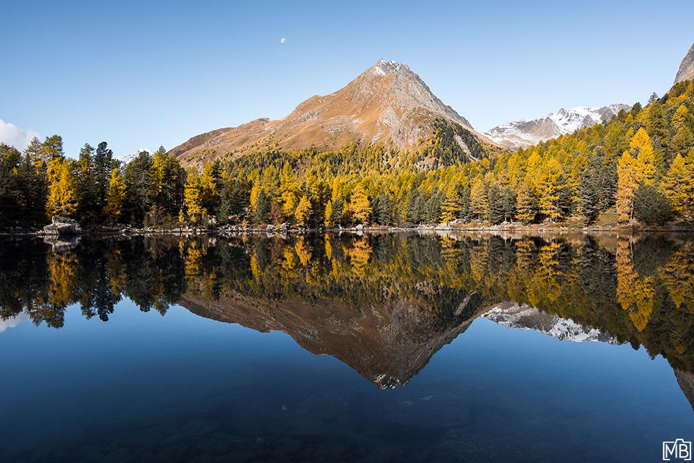 Engadin Herbst Lärchen Lago di Saoseo Engadin Graubünden Schweiz