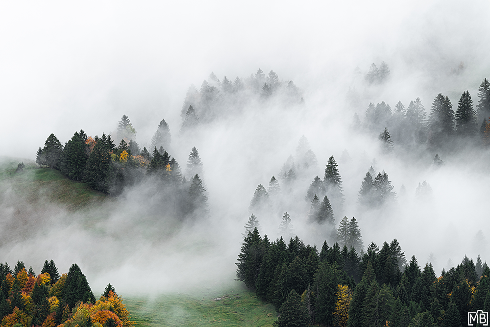Nebel und Wolken Nebelstimmung Nebelmeer Herbst Appenzellerland St. Gallen Brülisau Appenzell Ostschweiz Schweiz