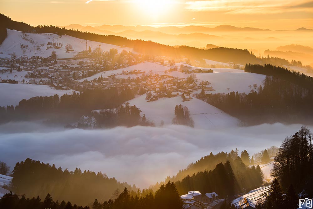 Nebel und Wolken Speicher Trogen Nebel Winter Nebelmeer Sonnenuntergang Appenzellerland Ostschweiz Schweiz