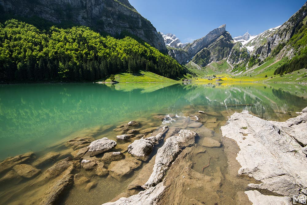 Seen und Gewässer Bergsee Seealpsee Säntis Sommer Alpstein Appenzellerland Wasserauen Schweiz