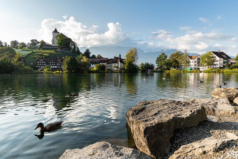 Seen und Gewässer See Werdenbergersee Buchs Rheintal St. Gallen Schweiz